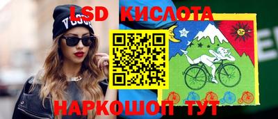 прущие грибы Краснодар