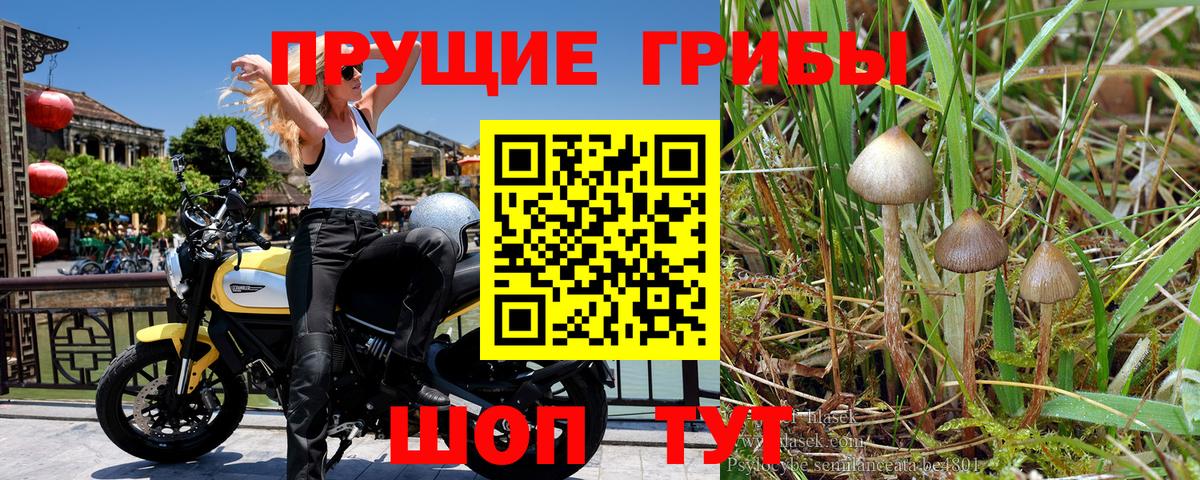 даркнет сайт  Псилоцибиновые грибы мухоморы  Вход с VPN  Зима 